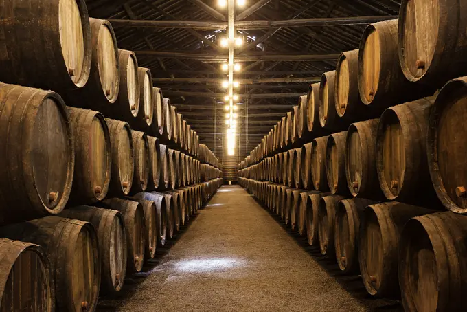 Seven wine museums to put on your travel bucket list