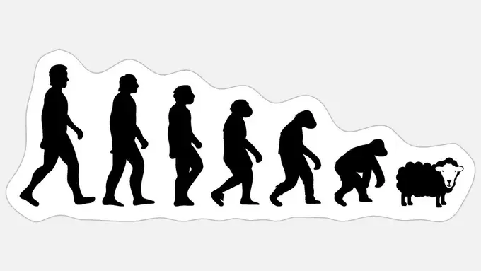 Are all Revenue Managers created equal?