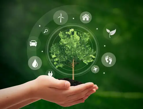 Expanding the Definition and Applicability of Sustainability: Trends and Challenges