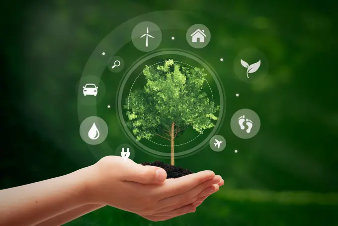 Expanding the Definition and Applicability of Sustainability: Trends and Challenges