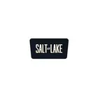 Salt visit Lake