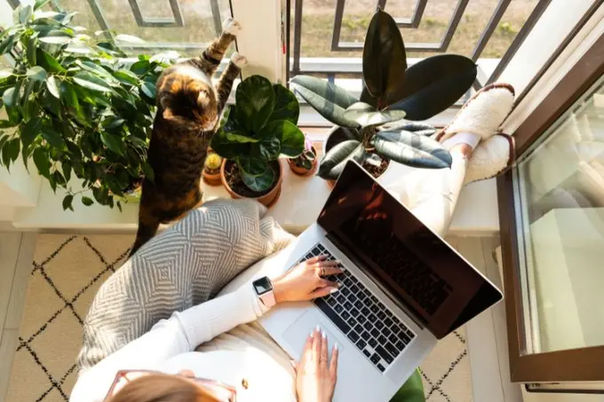 5 reasons why data is critical for hotel marketers