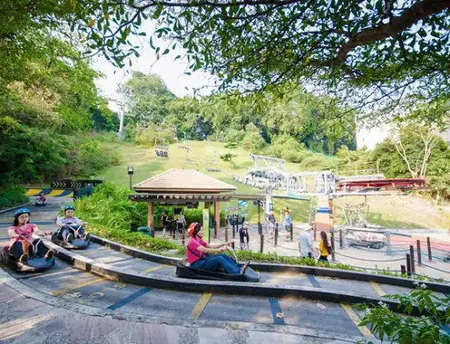 Study abroad in Singapore: All you need to know