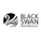 Black Swan Holdings LLC