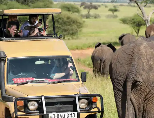 Africa at a Crossroads: Preventing Overtourism Through Sustainable Practices