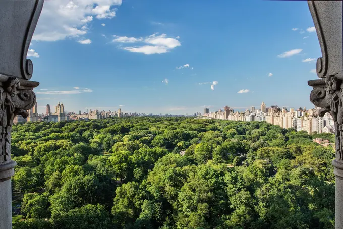 The Ritz-Carlton New York, Central Park ......