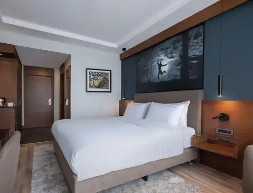 Radisson Blu Hotel, Ankara Cankaya