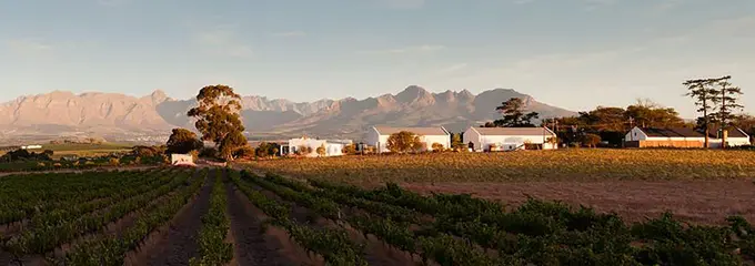Beyond Sustainability: How restaurants can contribute to a regenerative future through wine