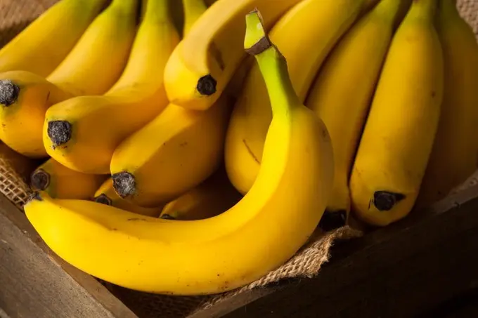 2017 Is The Year Of Starchy Fruits | By Larry Mogelonsky