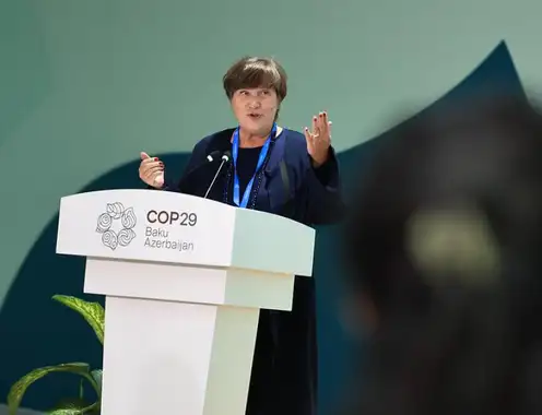 Tourism Makes History at COP29 as 50 Countries Back Climate Action Declaration for Sector