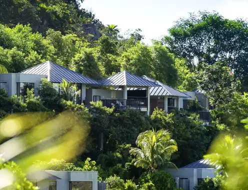 Building the Sustainable Hospitality of Tomorrow: Insights from Thought Leaders, from Strategy to Actions