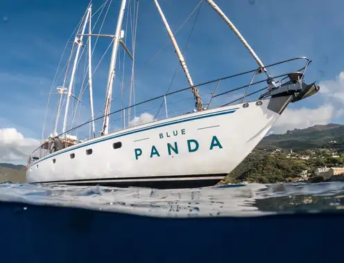 Novotel Initiates a Wave of Change by Turning Points into Ocean Preservation