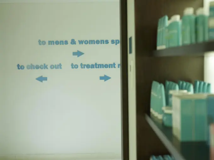 Spas in 2009: Bringing new professionalism to bear on ancient practices