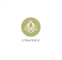 Strategic Hotel Capital (SHC)