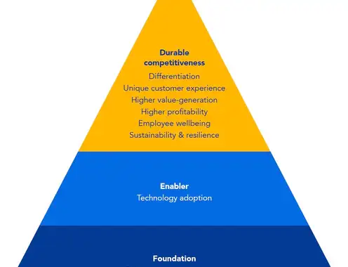 Pyramid of durable competitiveness