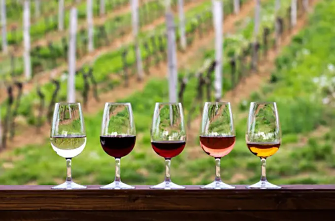 The Hidden Benefits of Tasting Events
