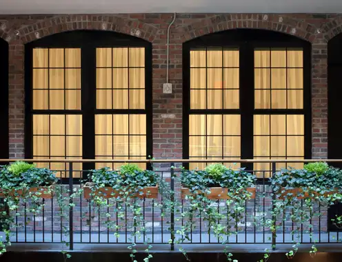 Tb Windows High Res 1