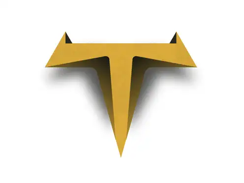 Touro Insights & CO