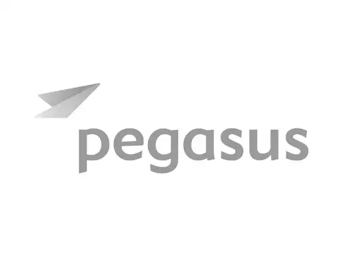 Pegasus logo