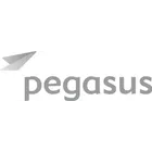 Pegasus logo
