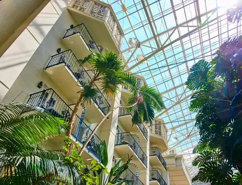 Reimagining the Guest Experience Through Sustainability in the UAE