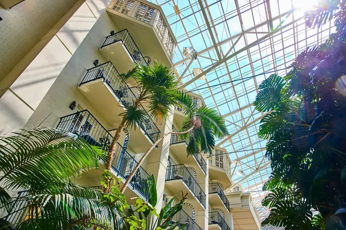 Reimagining the Guest Experience Through Sustainability in the UAE