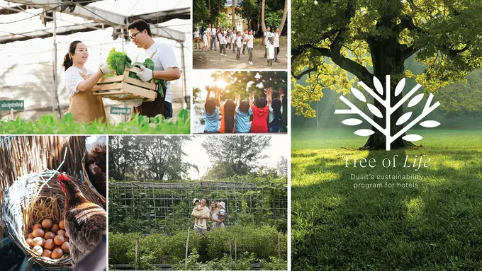 Dusit Hotels and Resorts joins GSTC in support of sustainable hospitality worldwide