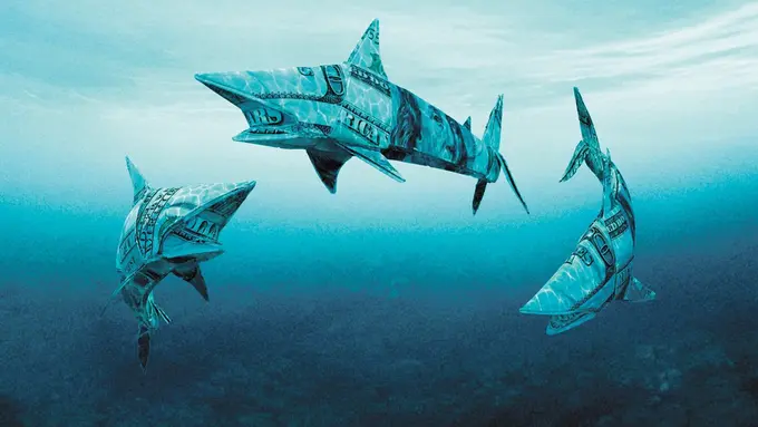 What Hoteliers Can Learn About Revenue Management From Shark Tank