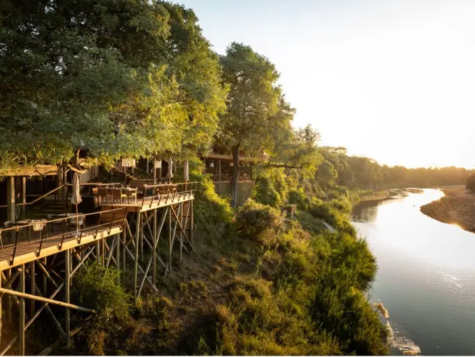 Conservation to Commercial Success with Singita as the Power of Purpose