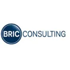 BRIC Consulting
