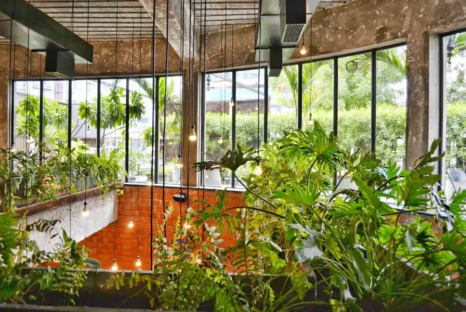 Biophilic Design Can Make a Splash in the Hospitality Industry