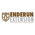 Enderun Extension