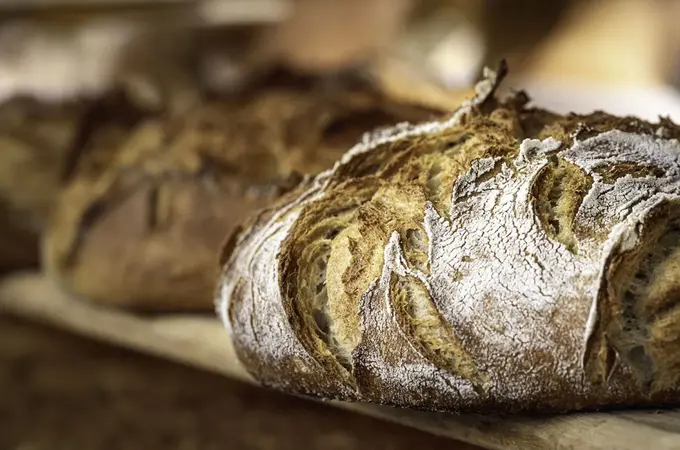 Bread Insights According To Thomas Marie
