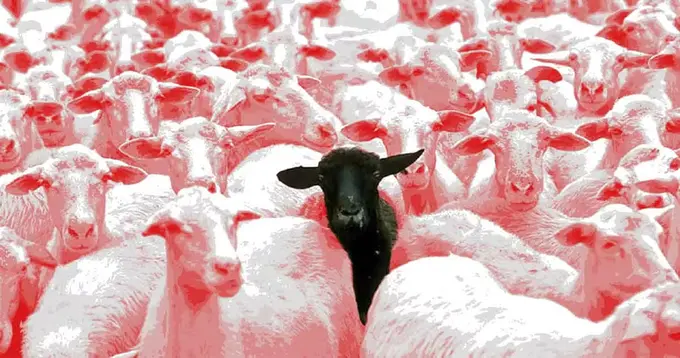 Stand Out or Fade Away: Rethinking Hotel Search and Distribution in the Agentic Era
