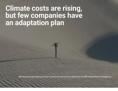 Climate Costs Are Rising, but Few Companies Have an Adaptation Plan