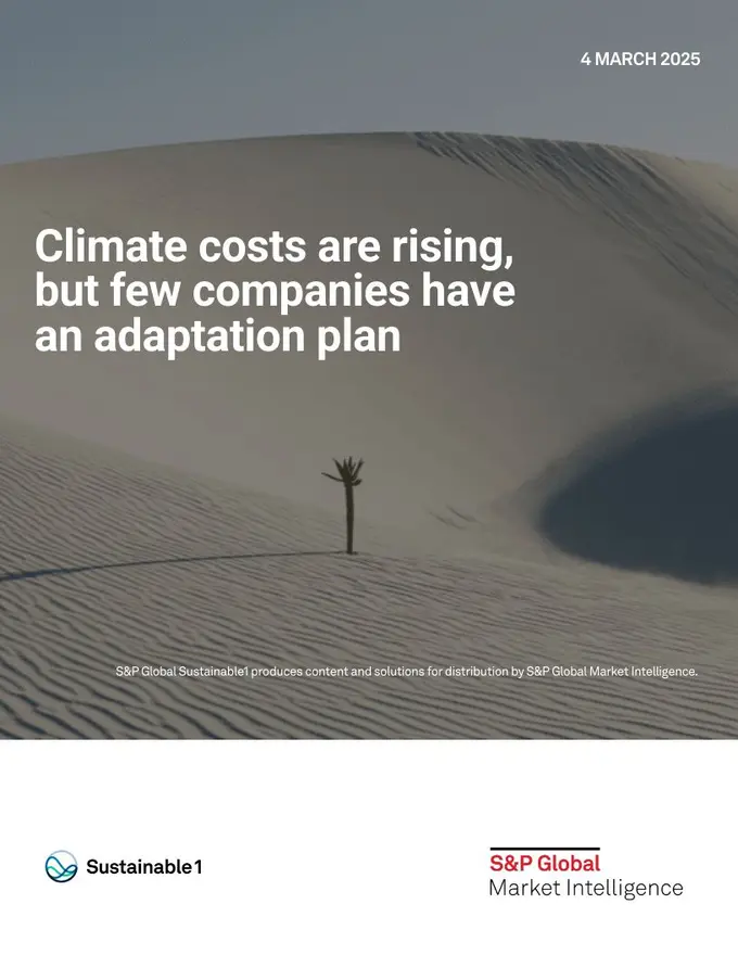 Climate Costs Are Rising, but Few Companies Have an Adaptation Plan