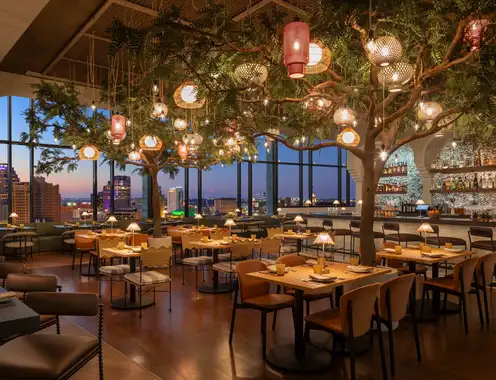 The Monarch San Antonio Curio Collection by Hilton Aleteo