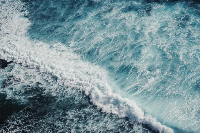 Being opportunistic without being a shark