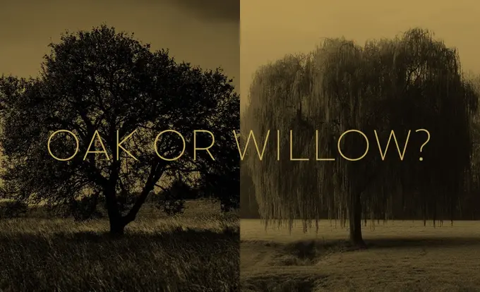 The Oak and the Willow: The Urgency of Tech Architecture Overhaul in Hotels