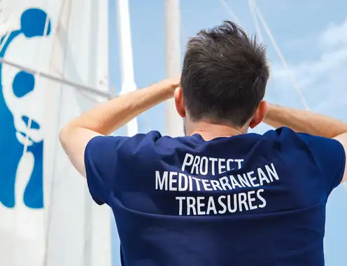 From Vision to Impact: Two Years Supporting the Longevity of the World’s Oceans