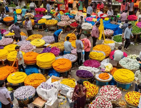 Bangalore City