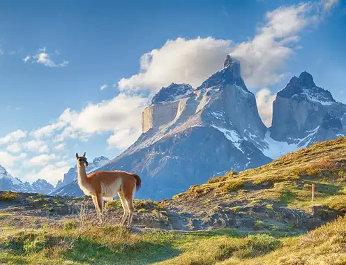 The Future of Tourism in Chilean Patagonia: Why the Next Decade Matters Now