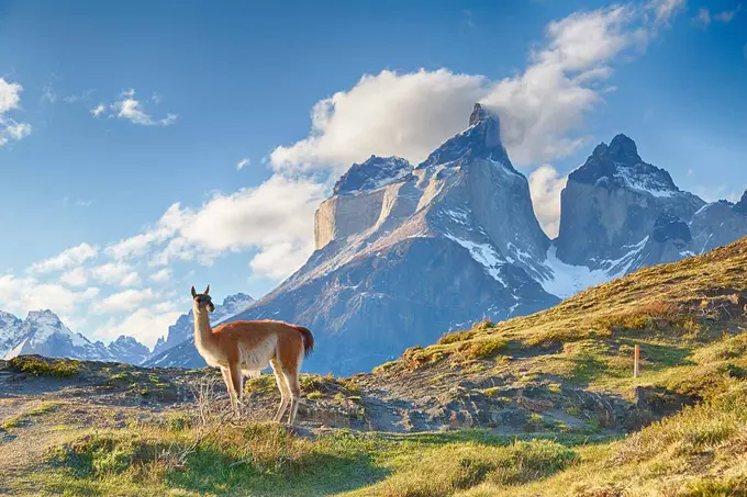 The Future of Tourism in Chilean Patagonia: Why the Next Decade Matters Now
