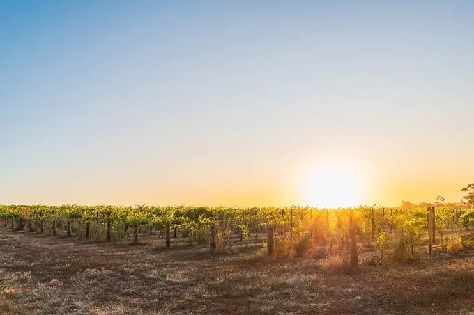 The Shifting Landscape of Wine Prestige