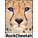 RockCheetah