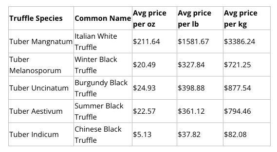 What are truffles and why are they so expensive? - Hospitality Net