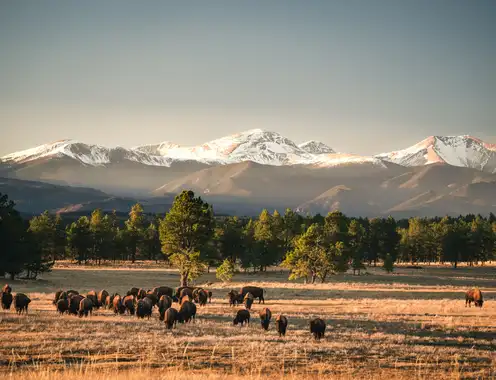 Tambourine Partners with Ted Turner Reserves, Launches New Website Showcasing the Brand