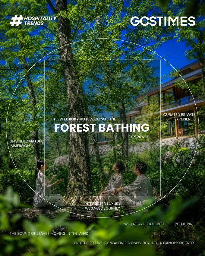 Forest Bathing, Curated: Three Levels of Hospitality Engagement