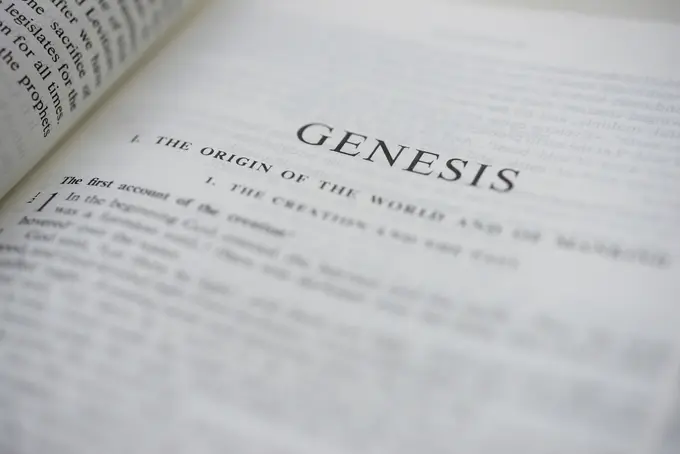 The pandemic's Book of Genesis