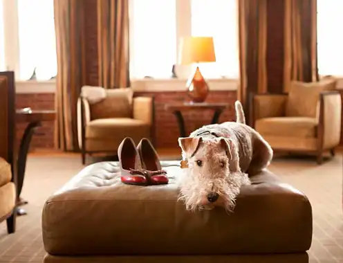 Buster Brown, An Icon At The Craddock Terry Hotel, Crosses Over The Rainbow Bridge